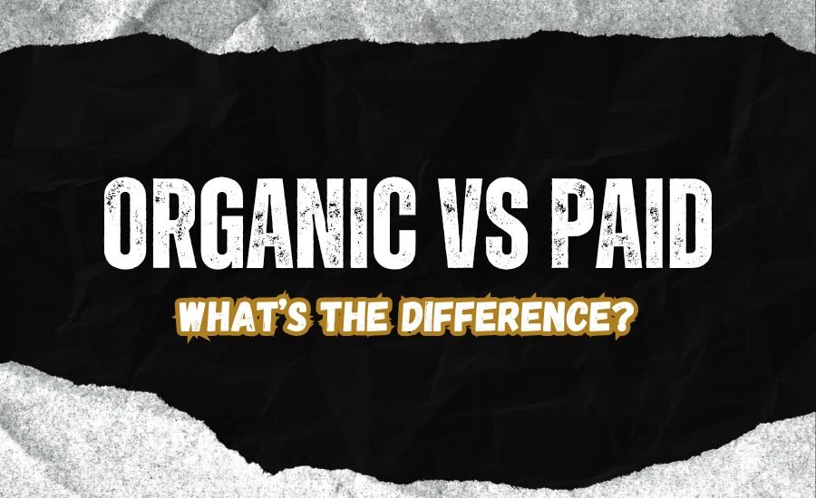 Organic Traffic: Which One Should You Focus On When Starting With Zero Budget?